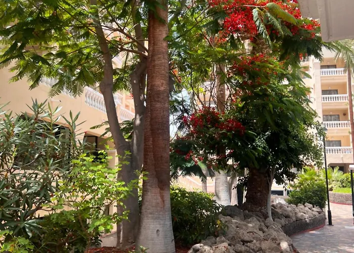 Appartamento Sunny Apto Castle Harbour